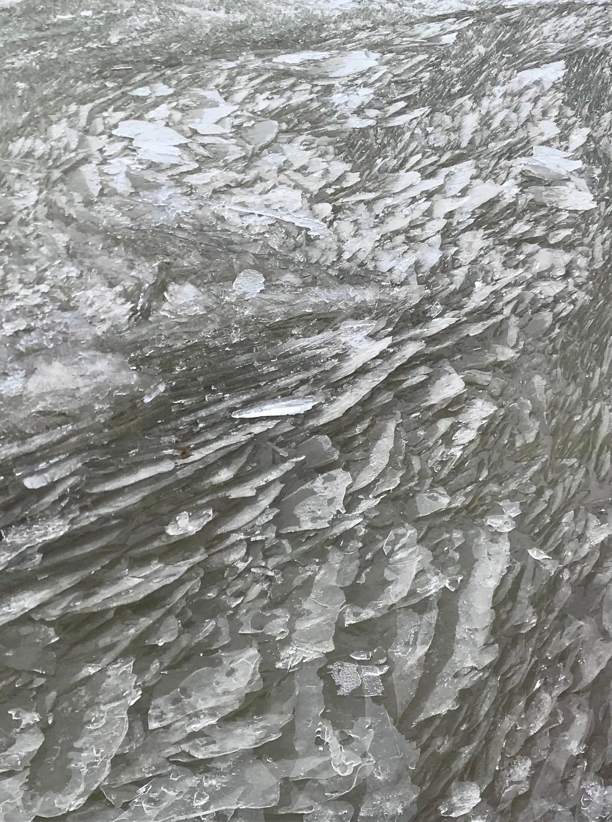 Plaques de glace brisées dérivant à la surface d’une eau grise.